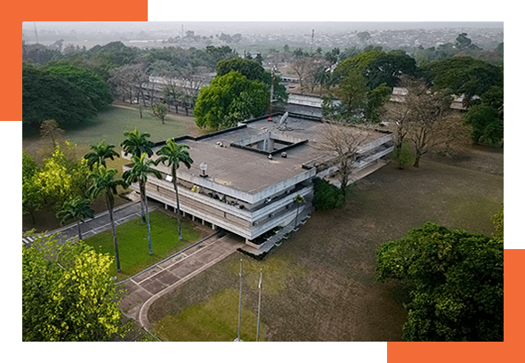 International Institute of Tropical Agriculture (IITA) image