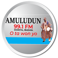 Amuludun 99.1 FM (FRCN) image